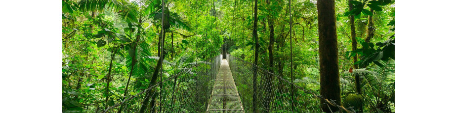 Escale Costa Rica Issoire Vernet la Varenne
